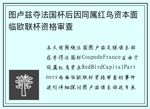 图卢兹夺法国杯后因同属红鸟资本面临欧联杯资格审查 图卢兹夺法国杯后因同属红鸟资本面临欧联杯资格审查